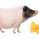 Illustration for article titled Police lure big-ass pig with Doritos